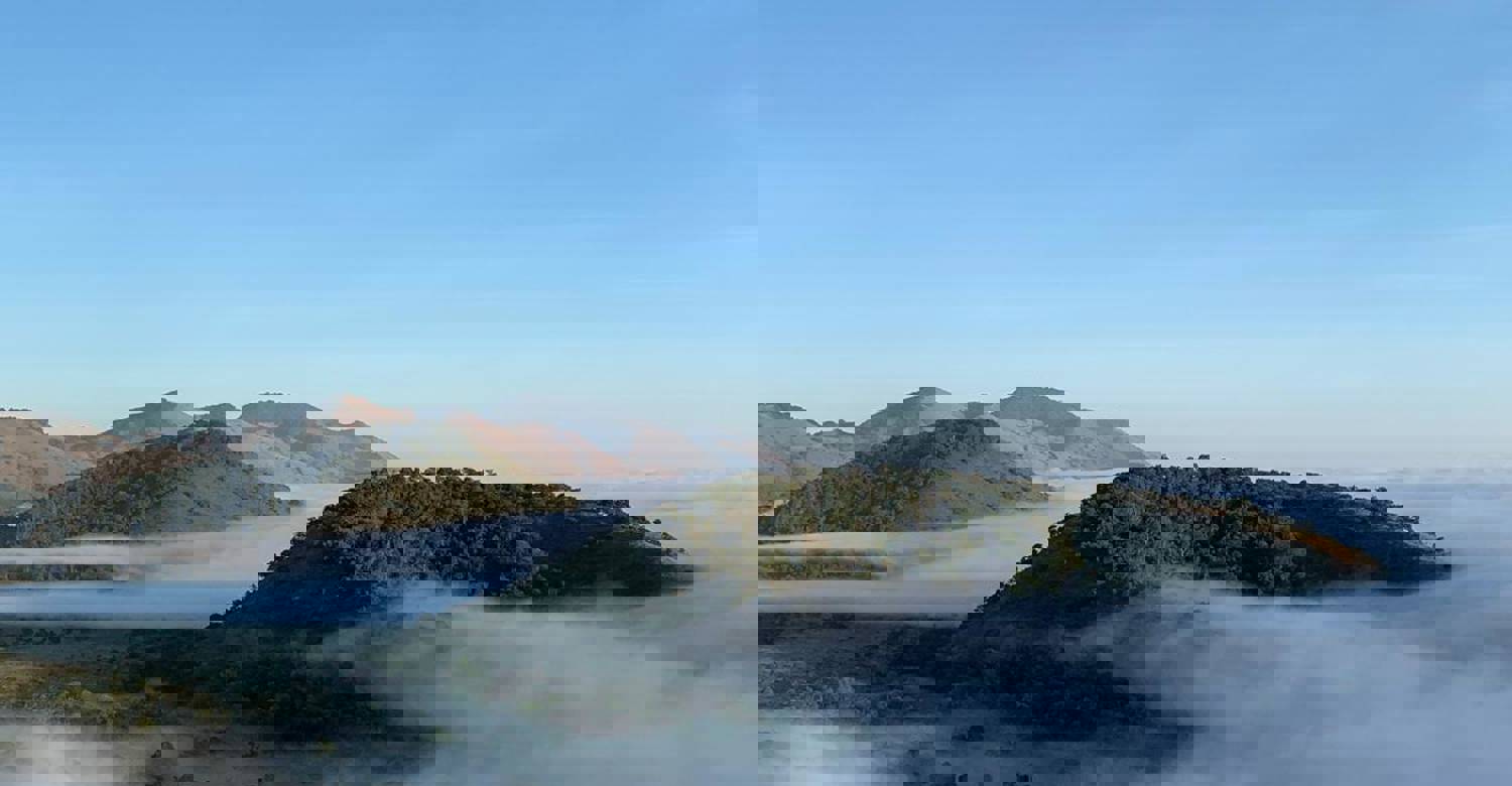 Chyulu Hills Cloud Forest