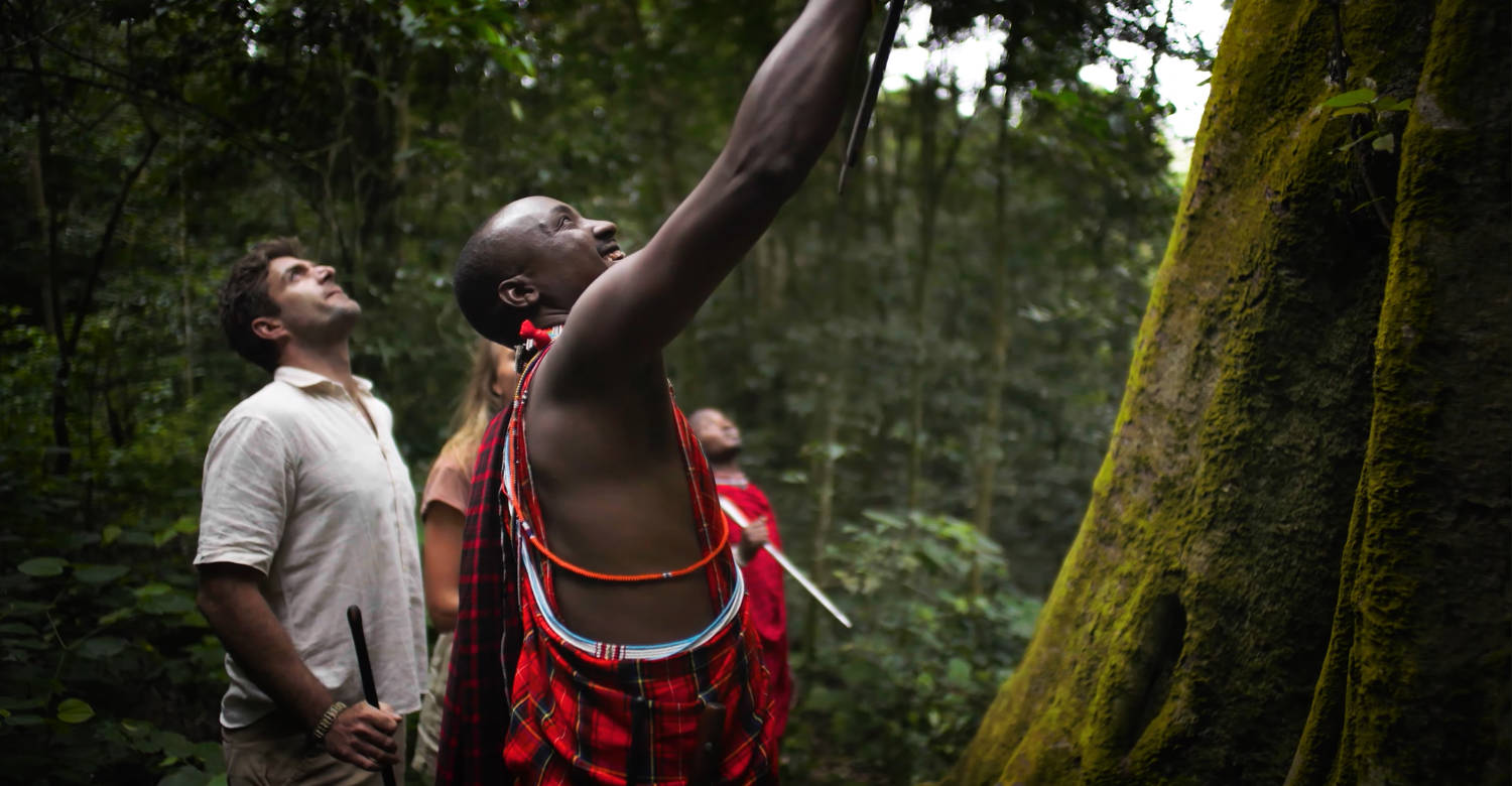 Finch Hattons - Chyulu Hills cloud forest experience 