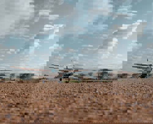 Virgin Limited Edition Unveils The Ultimate Kenyan Safari Experience