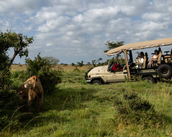 Game drives