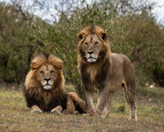 Mahali Mzuri 15