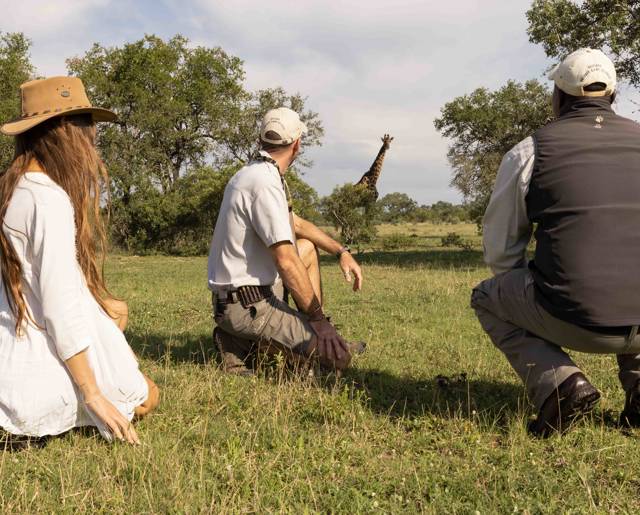 Ulusaba 15