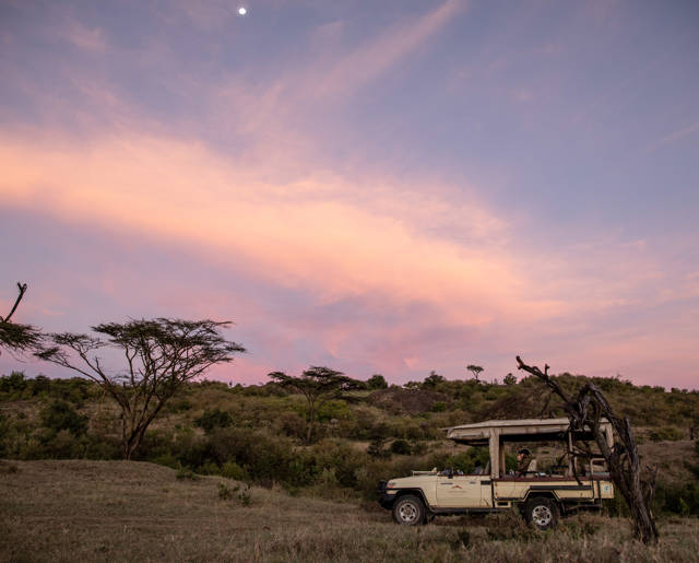 Safari
