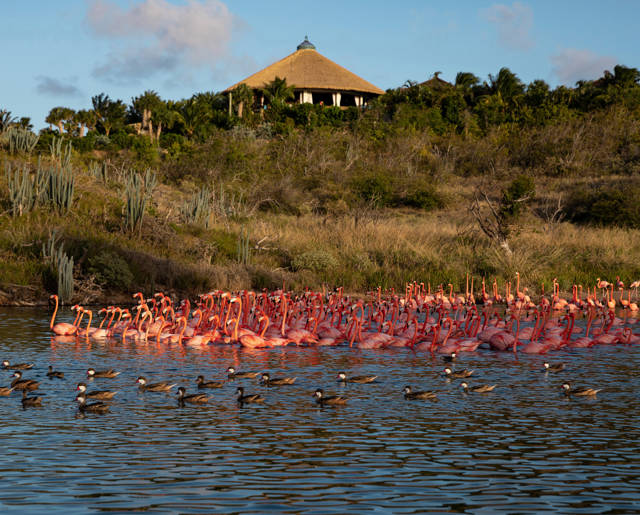 Necker Island