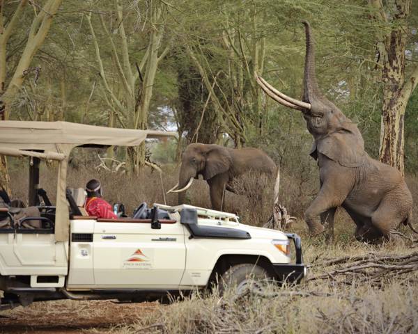 Game drives