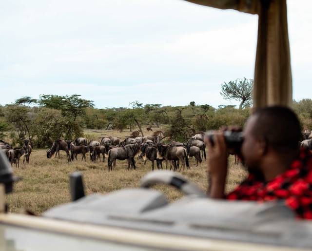 Mahali Mzuri 12