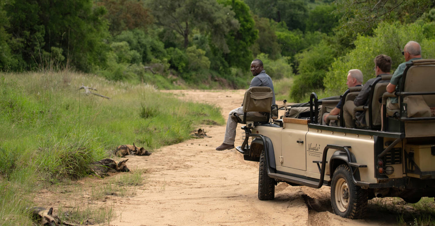 Game drive at Ulusaba