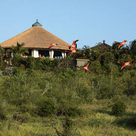 Necker Island - Elders Temple & Flamingos