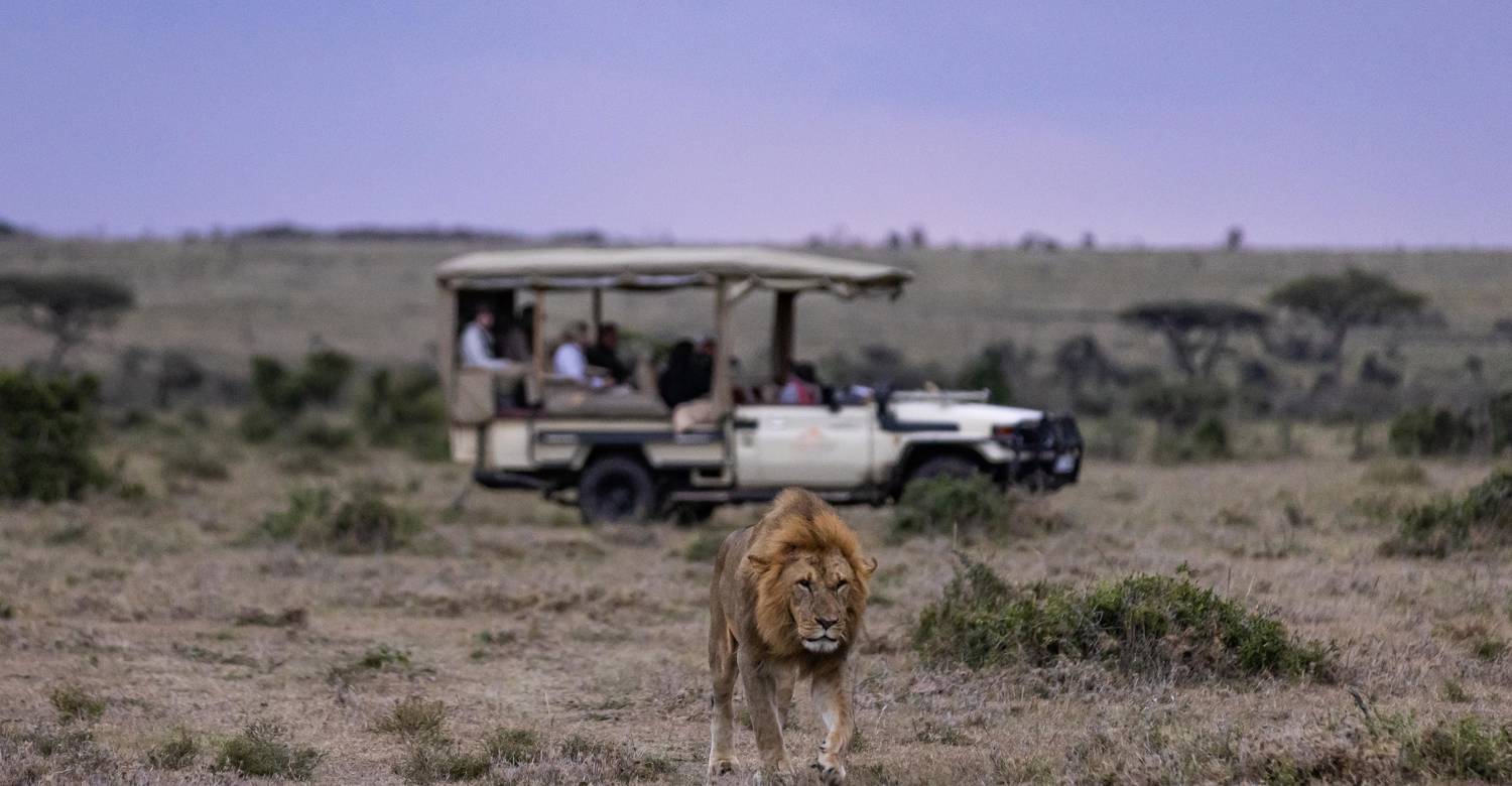 Game drive at Mahali Mzuri