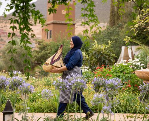 Culinary adventures in Morocco's Atlas Mountains: A Kasbah Tamadot food story