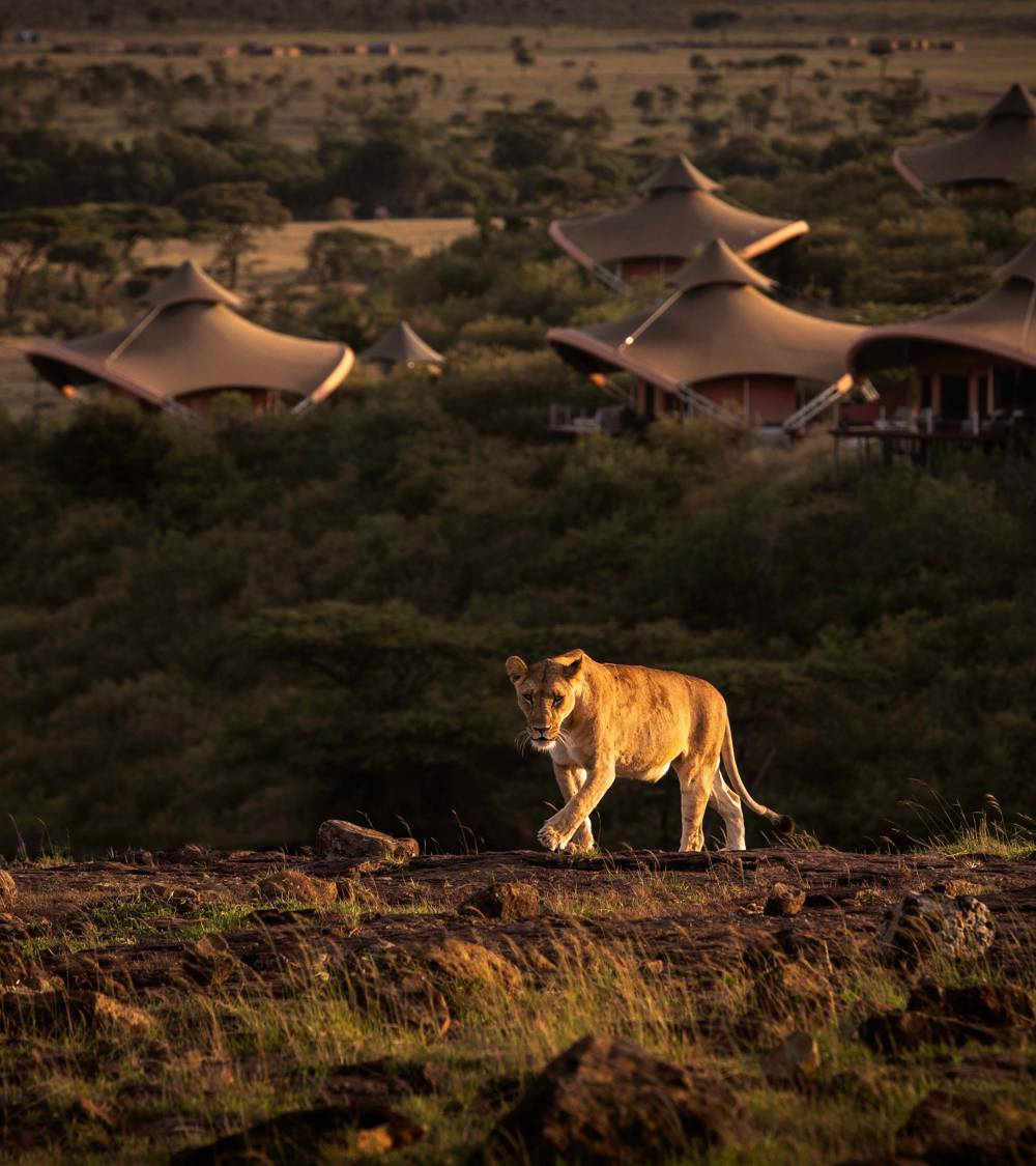 kenya safari luxury resorts
