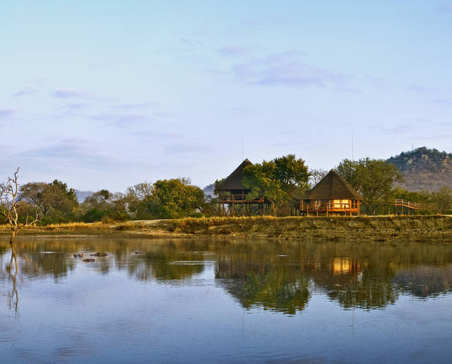 Treehouse Suite View