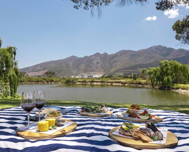Picnic