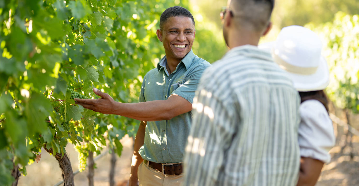 Mont Rochelle - Private vineyard tour 