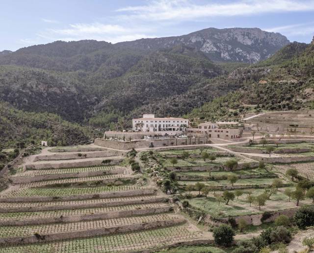 The Estate