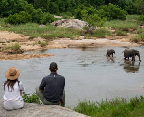 A first-time safari guide: what to know before you go