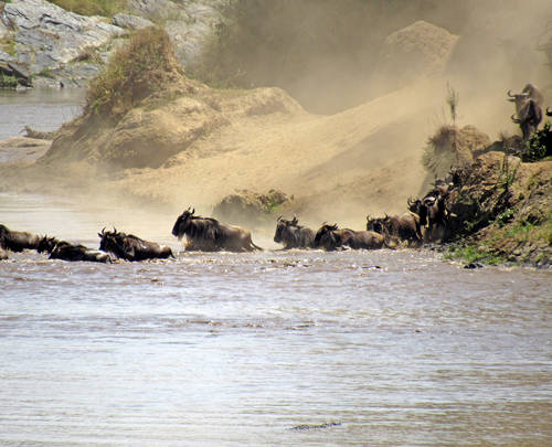 The Great Migration: witness nature’s greatest show from Mahali Mzuri