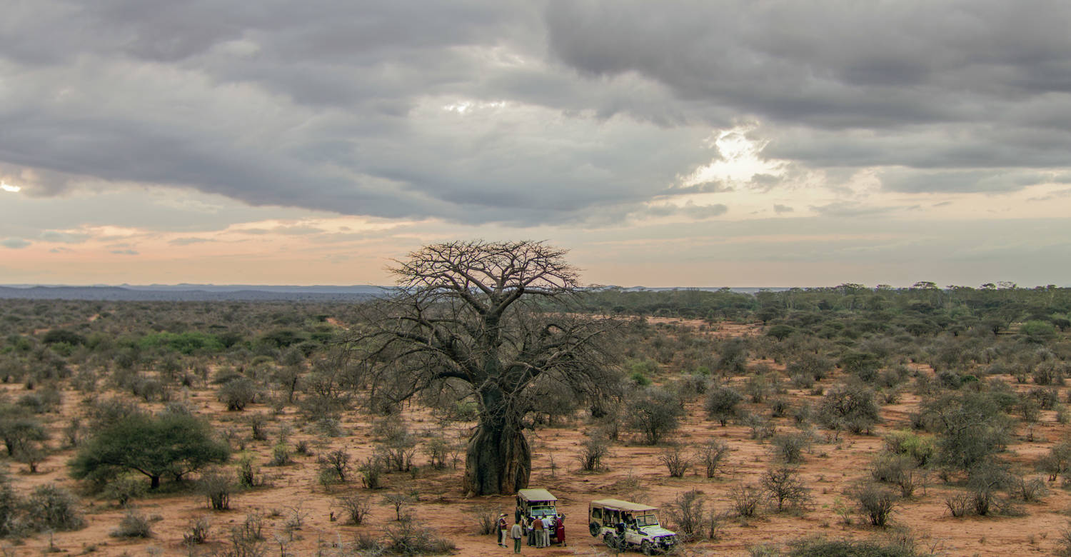 Game Drive at Finch Hattons