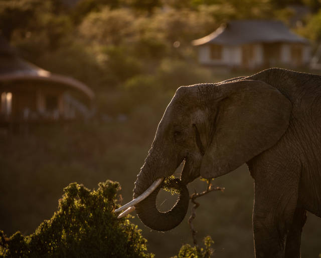 Mahali Mzuri 14