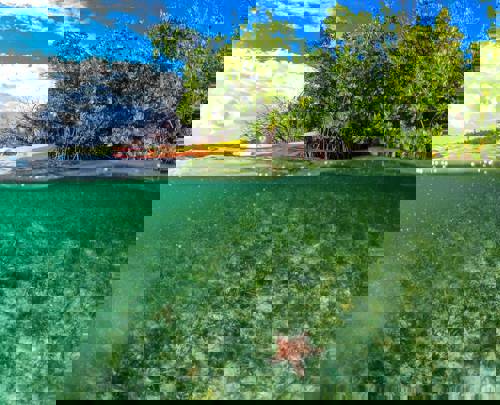 Make a difference to mangrove conservation with Necker Island