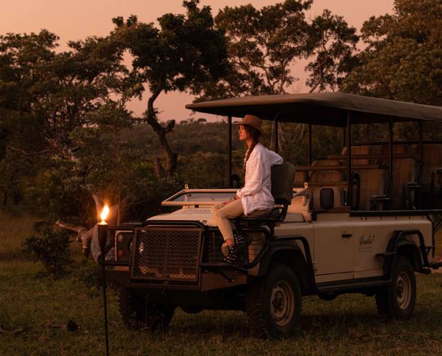 Evening Safari
