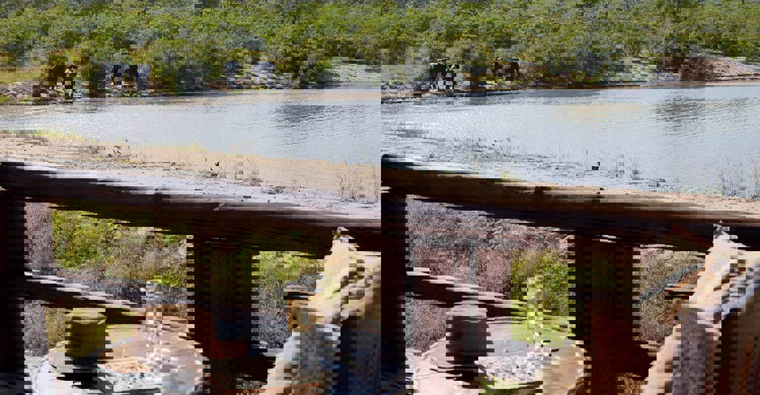Safari Lodge
