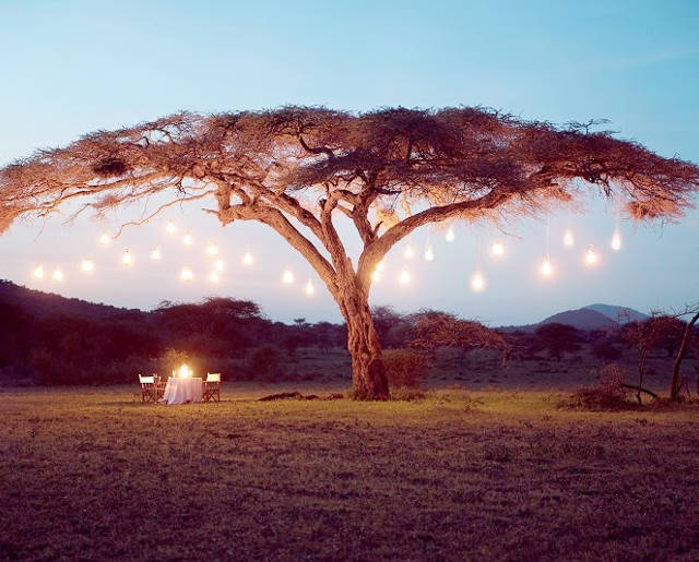 Honeymoons and proposals