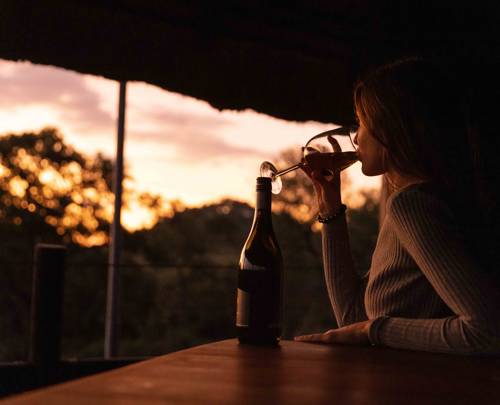 Winelands and Wildlife 