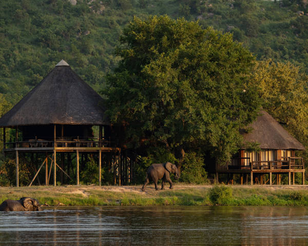 Safari Lodge