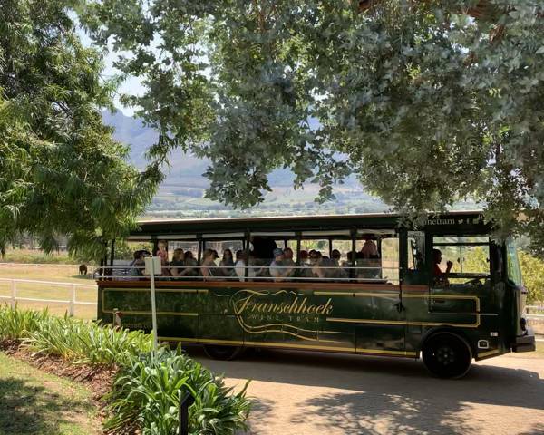 Everything you need to know about the Franschhoek Wine Tram 