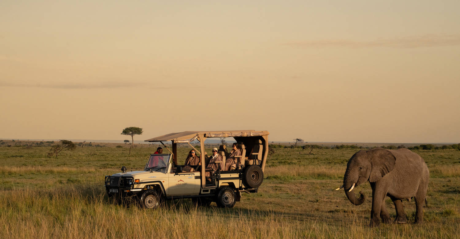 Game drive at Mahali Mzuri
