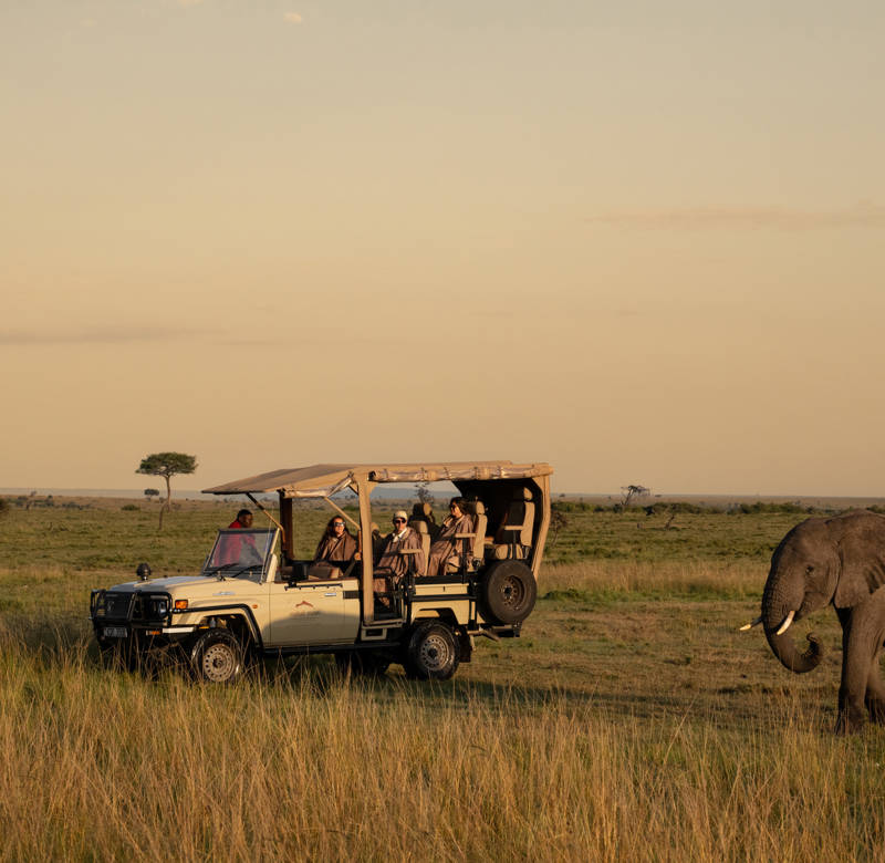How many days do you really need for a luxury safari?