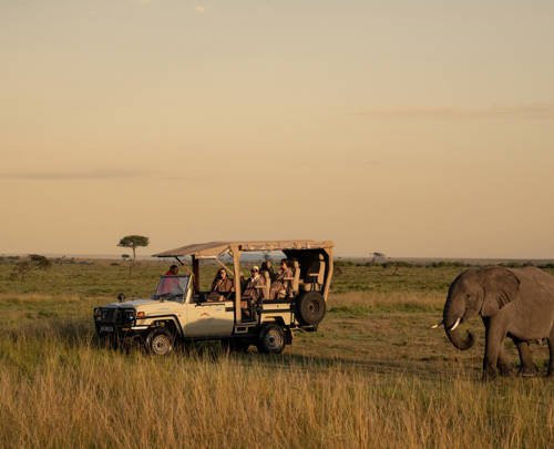 How many days do you really need for a luxury safari?