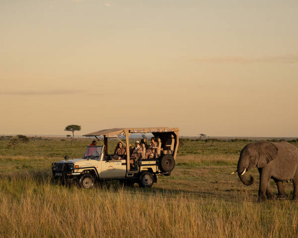 How many days do you really need for a luxury safari?