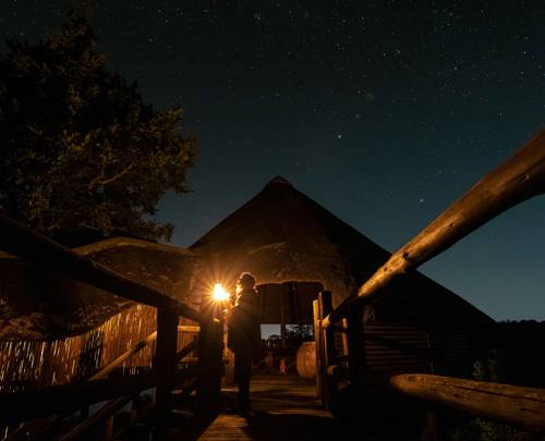 Discover the world after dark with Virgin Limited Edition